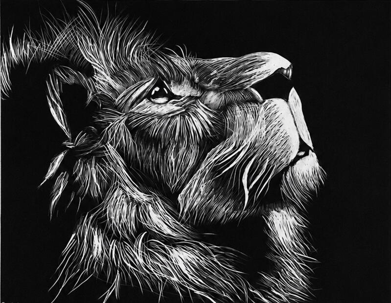 Scratchboard Realism · Scratchboard A high-contrast lion study created entirely through subtractive mark-making, scratching away the black surface to reveal white beneath in a process where each mark is effectively permanent.