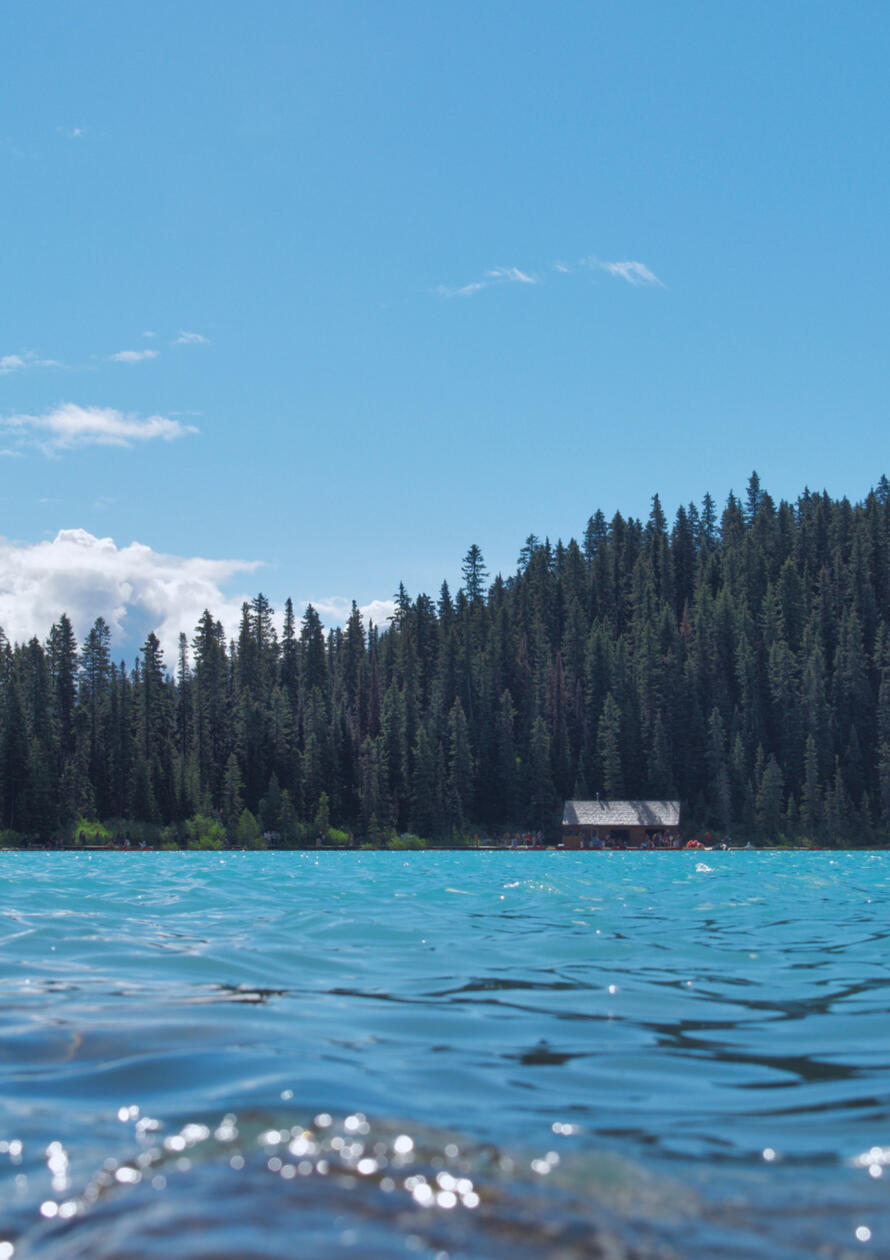Landscape photography along the shores of Lake Louise • Lake Louise, Alberta, Canada